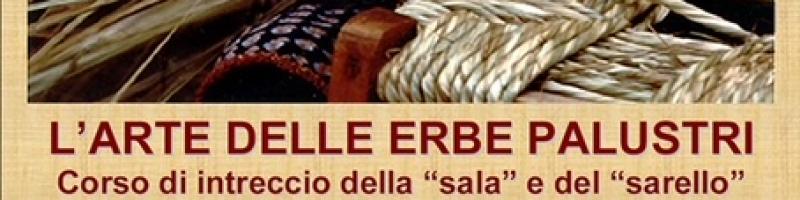 Dal 7 giugno 2025 "L'ARTE DELLE ERBE PALUSTRI" in Padule